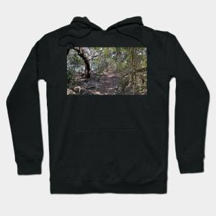 Hiking Florida at Robinson Preserve Hoodie